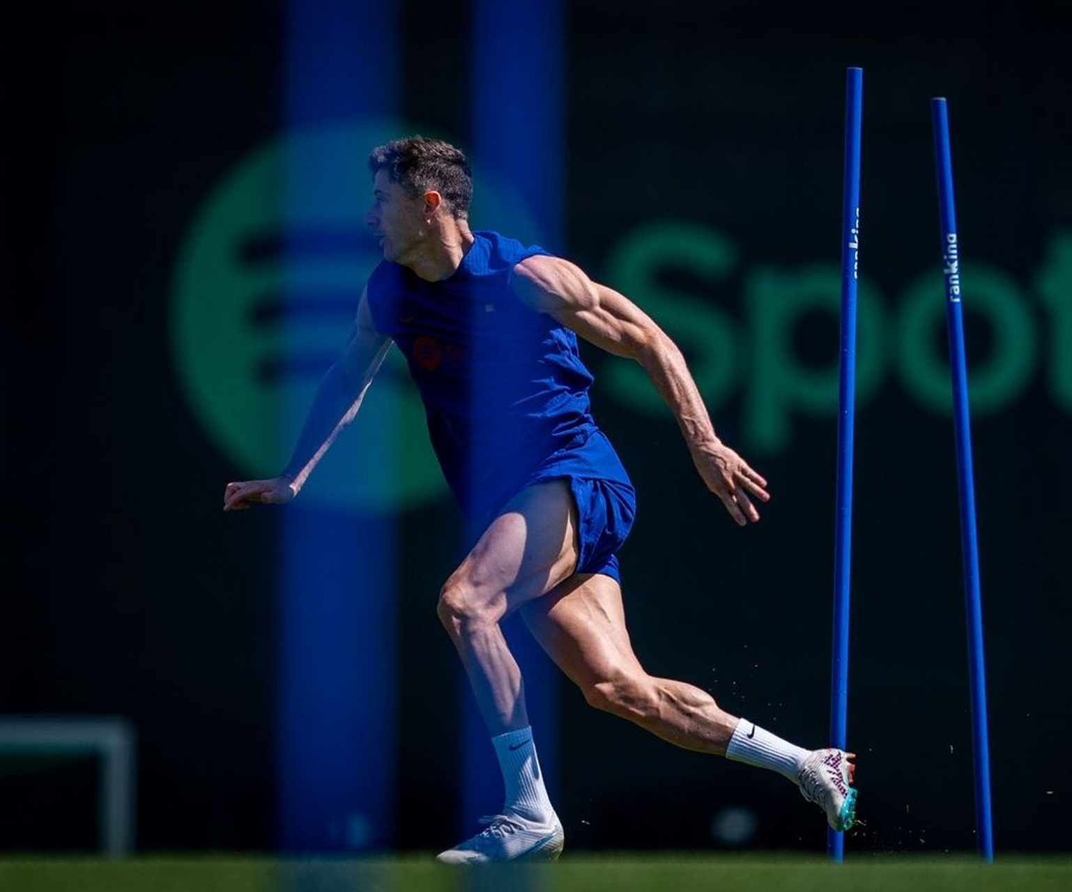 Kaiyun- 莱万多夫斯基什么水平 